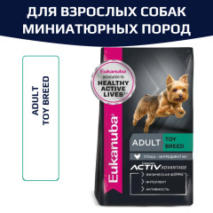 Eukanuba Adult Toy Breed корм сухой для взрослых собак миниатюрных пород