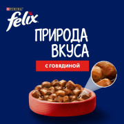 Влажный корм Felix Природа вкуса для взрослых кошек, с говядиной в соусе