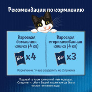 Влажный корм Felix Природа вкуса для взрослых кошек, с говядиной в соусе