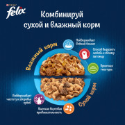 Влажный корм Felix Природа вкуса для взрослых кошек, с говядиной в соусе