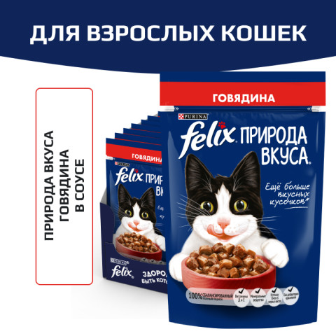Влажный корм Felix Природа вкуса для взрослых кошек, с говядиной в соусе