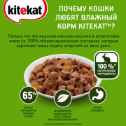 Kitekat корм консервированный для кошек нежный кролик в желе