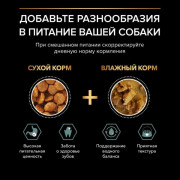 Pro Plan GrainFree Optidigest Grain Free корм сухой для собак мелких и карликовых пород с чувствительным пищеварением, с высоким содержанием индейки