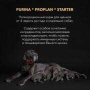 Pro Plan Starter сухой корм для щенков средних мелких пород курица