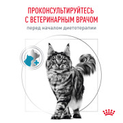 Royal Canin Skin & Coat Корм сухой диетический для кошек для поддержания защитных функций кожи
