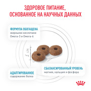 Royal Canin Skin & Coat Корм сухой диетический для кошек для поддержания защитных функций кожи