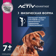 Eukanuba Mature and Senior Large Breed корм сухой для пожилых собак крупных пород и очень крупных пород
