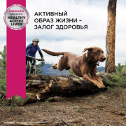 Eukanuba Mature and Senior Large Breed корм сухой для пожилых собак крупных пород и очень крупных пород