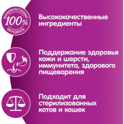 Whiskas корм консервированный для кошек праздничный рецепт суфле паштет с говядиной и индейкой паштет
