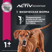 Eukanuba Adult Large Breed корм для собак крупных пород и очень крупных пород с птицей