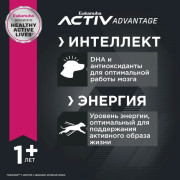 Eukanuba Adult Large Breed корм для собак крупных пород и очень крупных пород с птицей