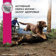 Eukanuba Adult Large Breed корм для собак крупных пород и очень крупных пород с птицей