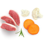 Grandorf Fresh Holistic & Hupoallergenic консервы для собак всех возрастов с нормальной активностью, чувствительным пищеварением или склонных к аллергии, утка, батат, цветная капуста