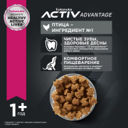 Eukanuba Adult Small Breed 1+ years Корм сухой для взрослых собак мелких пород от года и старше