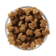 Eukanuba Adult Medium Breed 1+ years Корм сухой для взрослых собак средних пород от года и старше