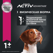 Eukanuba Adult Medium Breed 1+ years Корм сухой для взрослых собак средних пород от года и старше