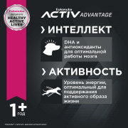 Eukanuba Adult Medium Breed 1+ years Корм сухой для взрослых собак средних пород от года и старше