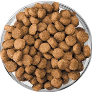 Eukanuba Puppy Large Breed корм сухой для щенков крупных пород