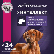 Eukanuba Puppy Large Breed корм сухой для щенков крупных пород