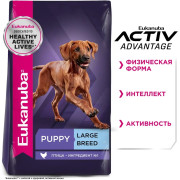 Eukanuba Puppy Large Breed корм сухой для щенков крупных пород