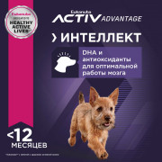 Eukanuba Puppy Small Breed корм для щенков мелких пород