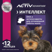 Eukanuba Puppy Toy Breed корм сухой для щенков миниатюрных пород