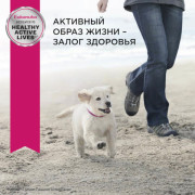 Eukanuba Puppy Toy Breed корм сухой для щенков миниатюрных пород