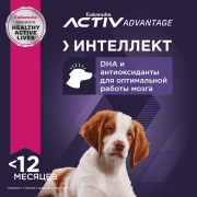 Eukanuba Puppy Medium Breed корм сухой для щенков средних пород в возрасте до года