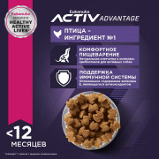 Eukanuba Puppy Medium Breed корм сухой для щенков средних пород в возрасте до года