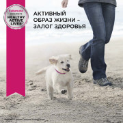 Eukanuba Puppy Medium Breed корм сухой для щенков средних пород в возрасте до года