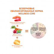 CORE корм сухой для взрослых собак мелких пород из лосося с тунцом