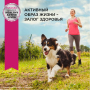 Eukanuba Adult All Breed Корм влажный рацион для собак с Ягненком в соусе