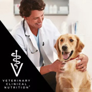 Purina Pro Plan Veterinary Diets DRM Dermatosis корм сухой для щенков и собак для поддержания здоровья кожи при дерматозах и выпадении шерсти