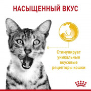 Royal Canin Sensory Taste корм консервированный для взрослых кошек в возрасте от 1 года до 7 лет, стимулирующий вкусовые рецепторы, кусочки в соусе.