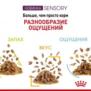 Royal Canin Sensory Taste корм консервированный для взрослых кошек в возрасте от 1 года до 7 лет, стимулирующий вкусовые рецепторы, кусочки в соусе.
