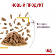 Royal Canin Sensory Taste корм консервированный для взрослых кошек в возрасте от 1 года до 7 лет, стимулирующий вкусовые рецепторы, кусочки в соусе.