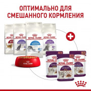 Royal Canin Sensory Taste корм консервированный для взрослых кошек в возрасте от 1 года до 7 лет, стимулирующий вкусовые рецепторы, кусочки в соусе.