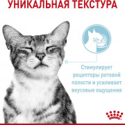 Royal Canin Sensory FEEL корм консервированный для взрослых кошек, стимулирующий рецепторы ротовой полости, мелкие кусочки в соусе.