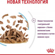 Royal Canin Sensory FEEL корм консервированный для взрослых кошек, стимулирующий рецепторы ротовой полости, мелкие кусочки в соусе.