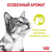 Royal Canin Sensory SMELL корм консервированный для взрослых кошек, стимулирующий обонятельные рецепторы, кусочки в соусе.