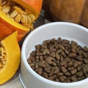 Best Dinner Sensible Adult Small & Mini Veal & Pumpkin корм сухой для собак мелких пород, склонных к аллергии и проблемам с пищеварением, с телятиной и тыквой