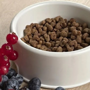 Best Dinner Adult Sterilised Lamb & Wildberry корм сухой для кастрированных и стерилизованных кошек склонных к аллергии и проблемам с пищеварением, с ягненком и ягодами