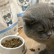 Best Dinner Adult Cat Lamb & Blueberry корм сухой для кошек всех пород, склонных к аллергии и проблемам с пищеварением, с ягненком и голубикой