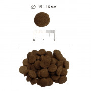Blitz Classic Poultry Adult Dog All Breeds корм сухой для собак всех пород с домашней птицей
