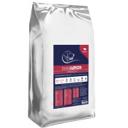 DogLunch Premium корм сухой для собак средних и крупных пород, с говядиной
