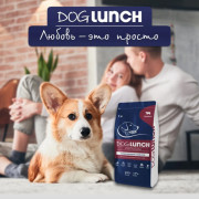 DogLunch Premium корм сухой для собак средних и крупных пород, с говядиной