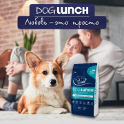 DogLunch Premium корм сухой для собак средних и крупных пород, с говядиной и рисом