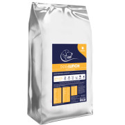 DogLunch Premium корм сухой для собак средних и крупных пород, с индейкой