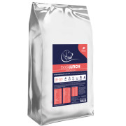DogLunch Premium корм сухой для собак средних и крупных пород, с лососем