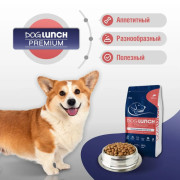 DogLunch Premium корм сухой для собак средних и крупных пород, с лососем